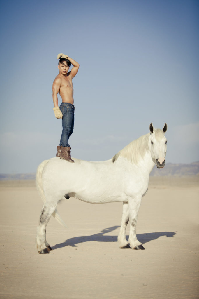 a man on a white horse- equestrian